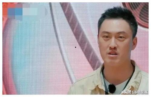 娱乐圈吃瓜消息,明星恋情、丑闻大揭秘！