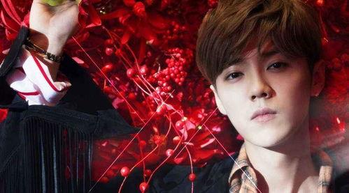 娱乐吃瓜猫鹿晗恋情官宣